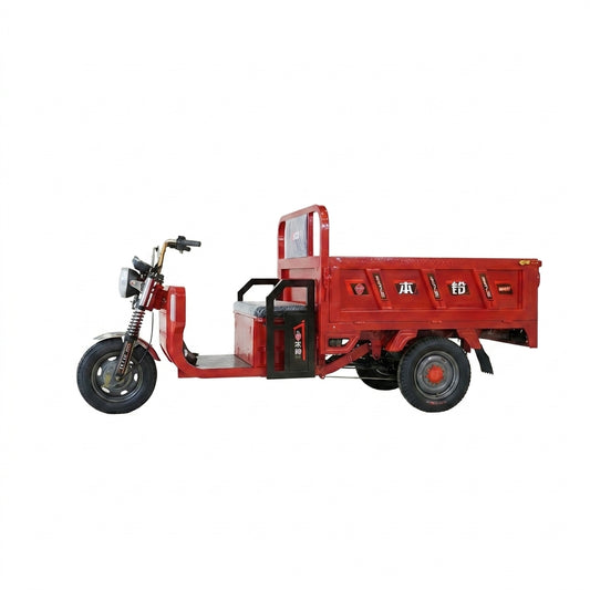 L-JD160 Electric Cargo Tricycle
