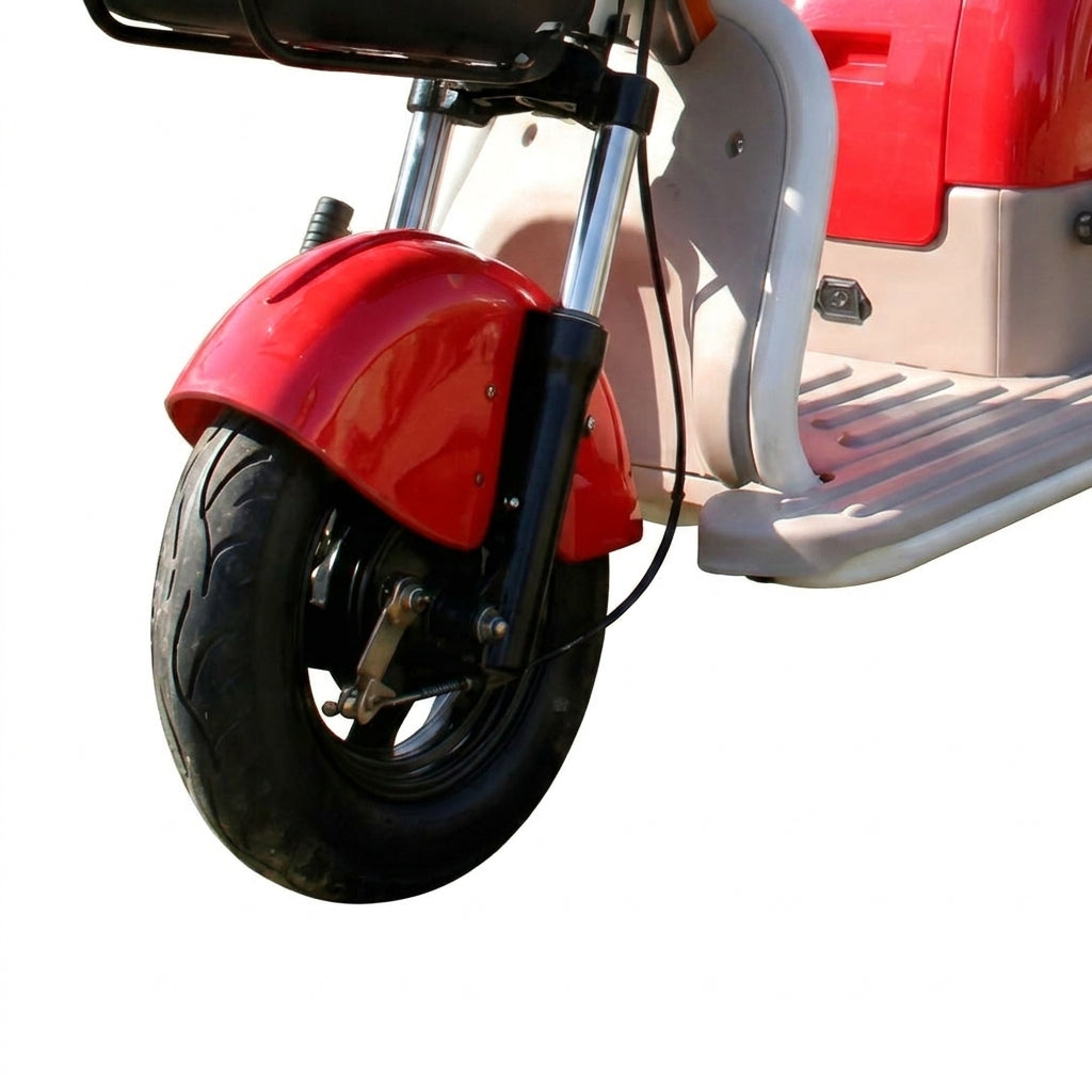 L-MLX3 Home-Use Electric Tricycle