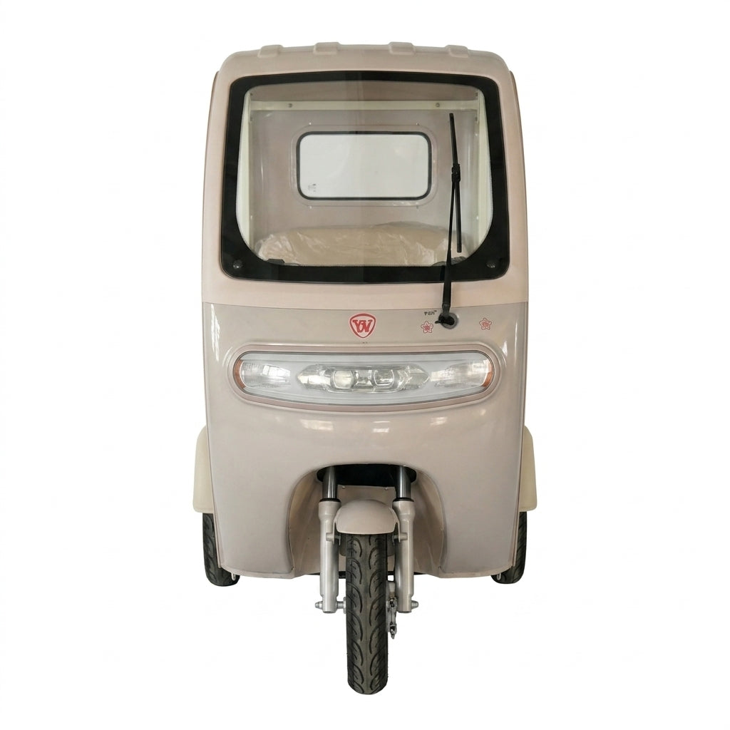 L-L90SP Home-Use Electric Tricycle