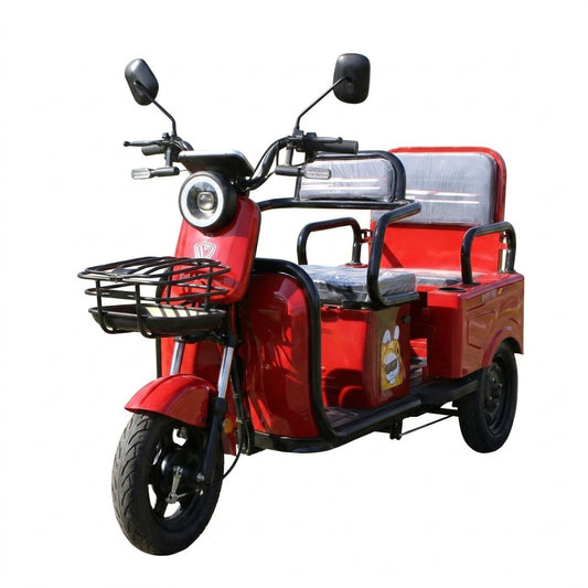 L-FXZD Home-Use Electric Tricycle