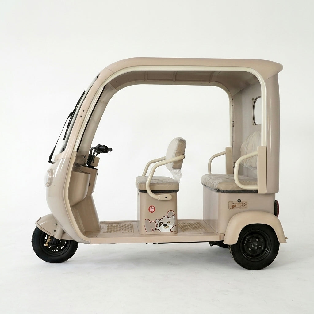 L-L90SP Home-Use Electric Tricycle
