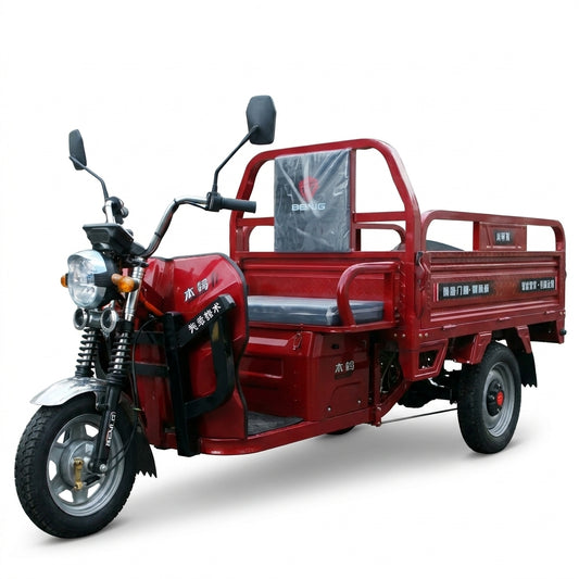 L-FY150 Electric Cargo Tricycle