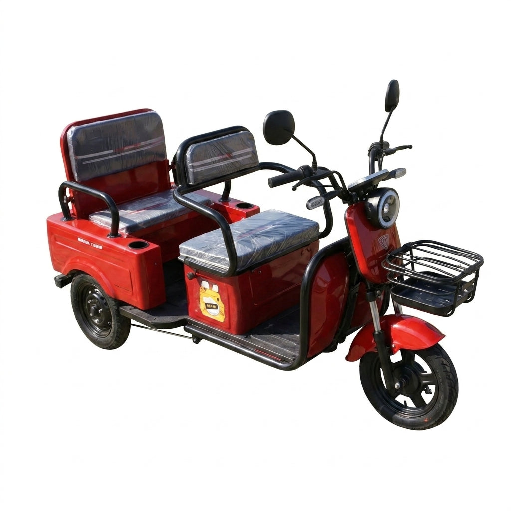 L-FXZD Home-Use Electric Tricycle