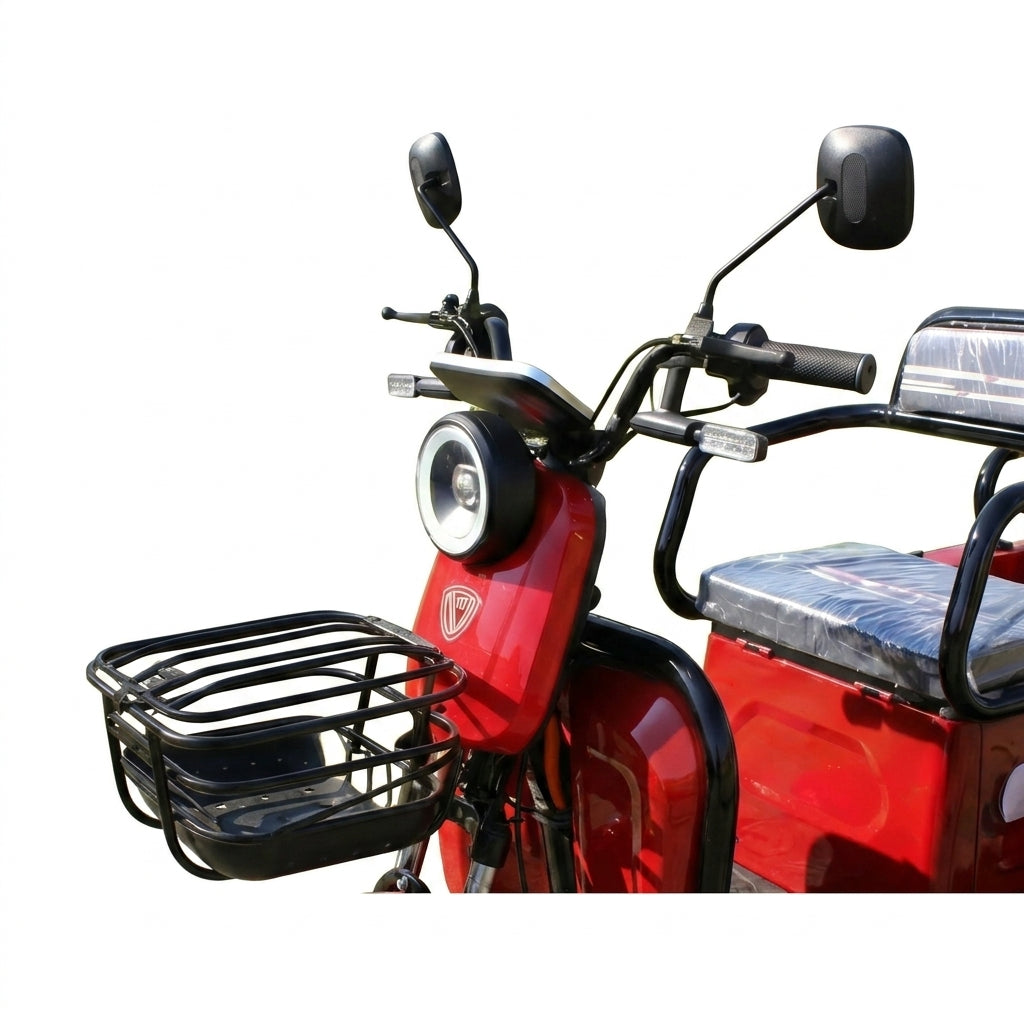 L-FXZD Home-Use Electric Tricycle