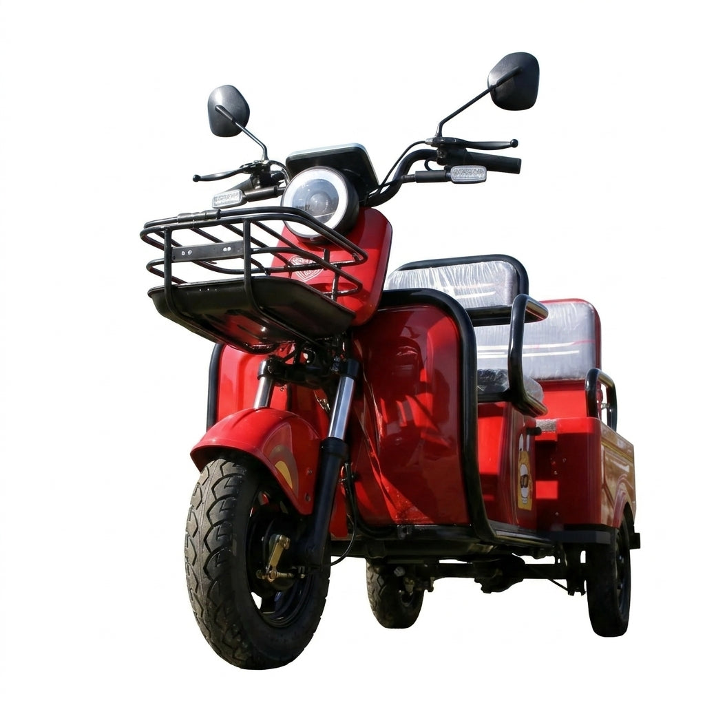 L-FXZD Home-Use Electric Tricycle