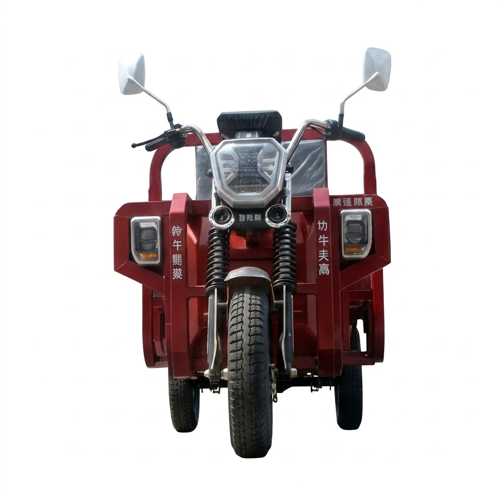 L-ZY160 Electric Cargo Tricycle