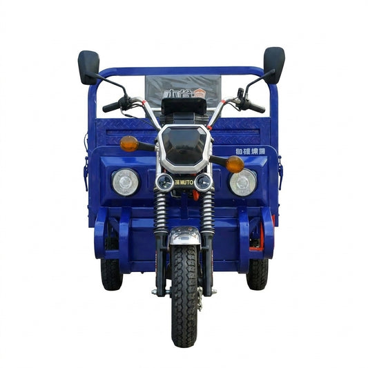 L-YW180 Electric Cargo Tricycle