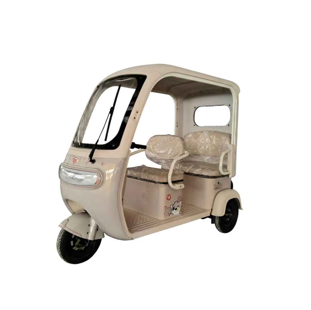 L-L90SP Home-Use Electric Tricycle